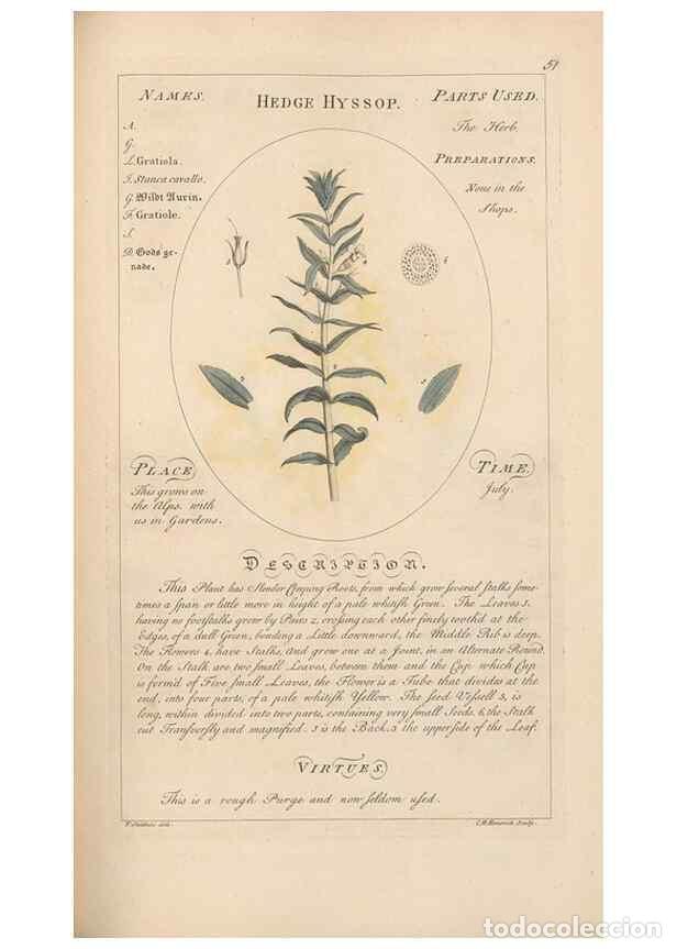 Sammeln von Zeitschriften und Zeitungen: Reproducci&oacute;n/Reproduction 49788394537: Botanicum medicinale :. London :Printed for J. Millan, opposi