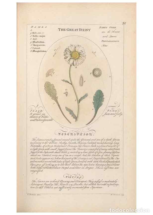 Coleccionismo de Revistas y Peri&oacute;dicos: Reproducci&oacute;n/Reproduction 49788390532: Botanicum medicinale :. London :Printed for J. Millan, opposi