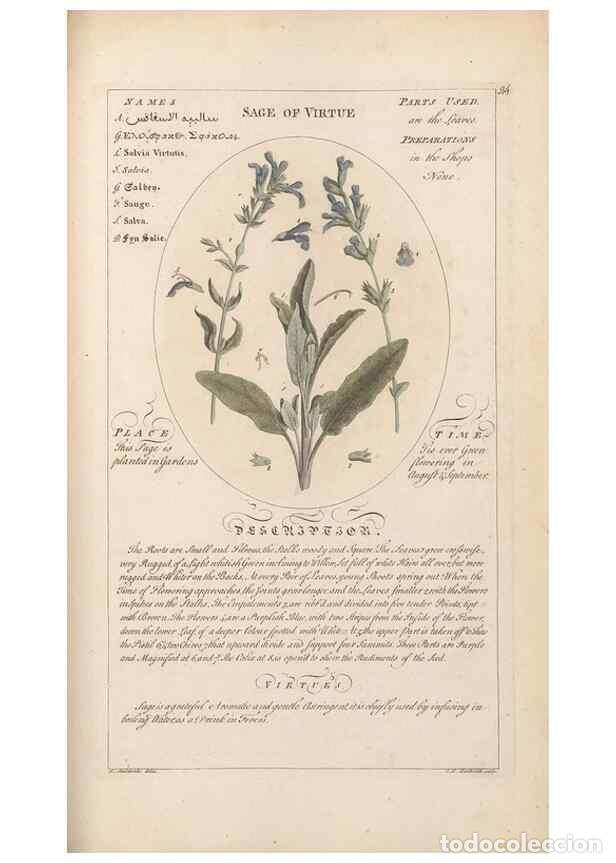 Sammeln von Zeitschriften und Zeitungen: Reproducci&oacute;n/Reproduction 49787542008: Botanicum medicinale :. London :Printed for J. Millan, opposi