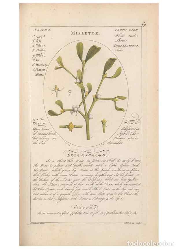 Coleccionismo de Revistas y Peri&oacute;dicos: Reproducci&oacute;n/Reproduction 49788397657: Botanicum medicinale :. London :Printed for J. Millan, opposi