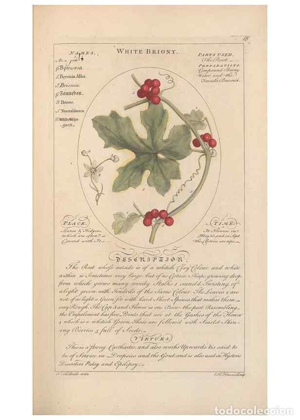 Sammeln von Zeitschriften und Zeitungen: Reproducci&oacute;n/Reproduction 49788386832: Botanicum medicinale :. London :Printed for J. Millan, opposi