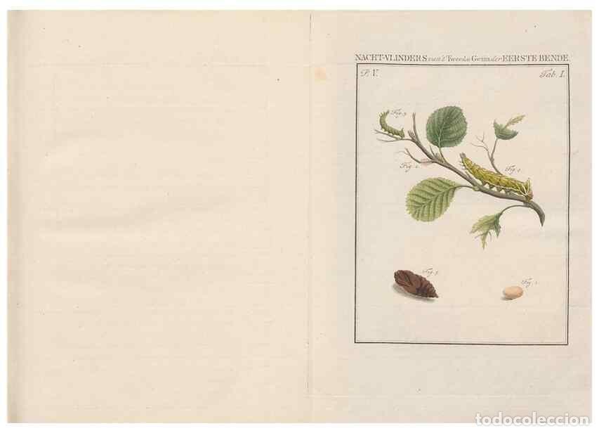 Coleccionismo de Revistas y Peri&oacute;dicos: Reproducci&oacute;n/Reproduction 49817004351: Beschouwing der wonderen Gods, in de minstgeachte schepzelen