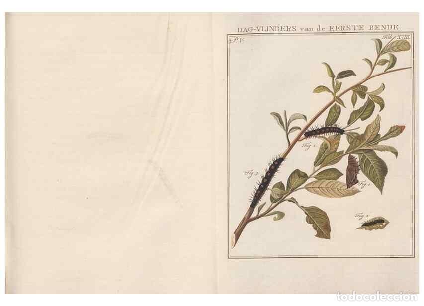 Coleccionismo de Revistas y Peri&oacute;dicos: Reproducci&oacute;n/Reproduction 49817315652: Beschouwing der wonderen Gods, in de minstgeachte schepzelen