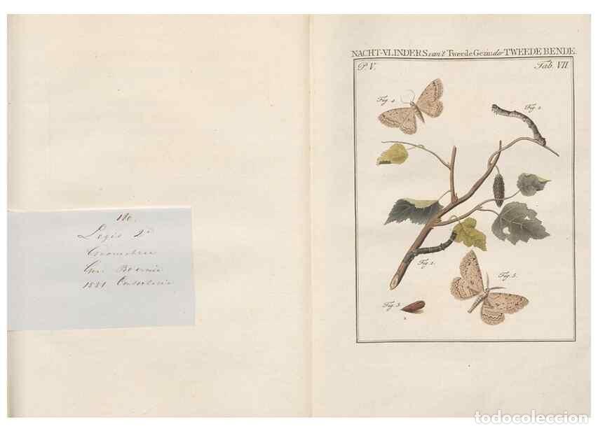 Coleccionismo de Revistas y Peri&oacute;dicos: Reproducci&oacute;n/Reproduction 49816472618: Beschouwing der wonderen Gods, in de minstgeachte schepzelen