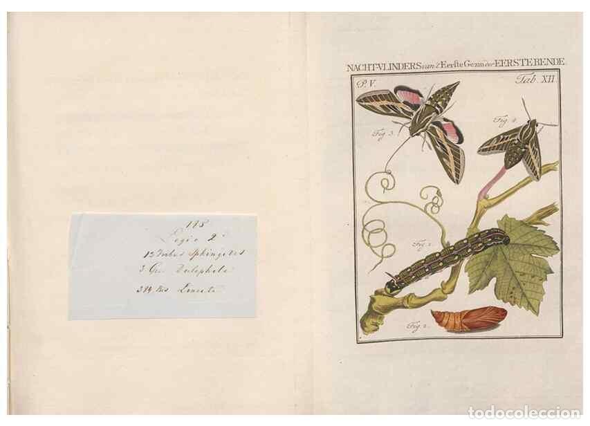 Coleccionismo de Revistas y Peri&oacute;dicos: Reproducci&oacute;n/Reproduction 49817006631: Beschouwing der wonderen Gods, in de minstgeachte schepzelen