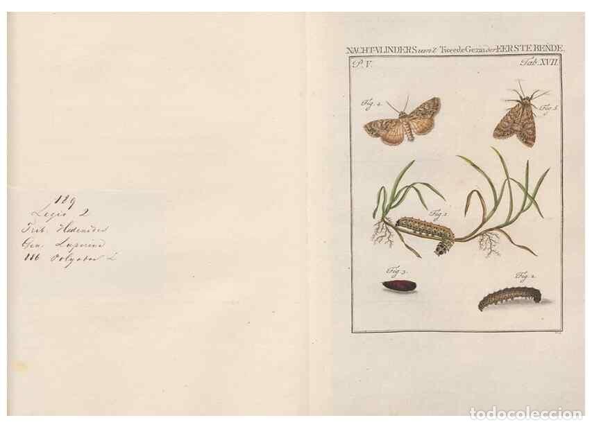 Coleccionismo de Revistas y Peri&oacute;dicos: Reproducci&oacute;n/Reproduction 49817315492: Beschouwing der wonderen Gods, in de minstgeachte schepzelen