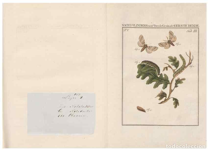 Coleccionismo de Revistas y Peri&oacute;dicos: Reproducci&oacute;n/Reproduction 49816471778: Beschouwing der wonderen Gods, in de minstgeachte schepzelen