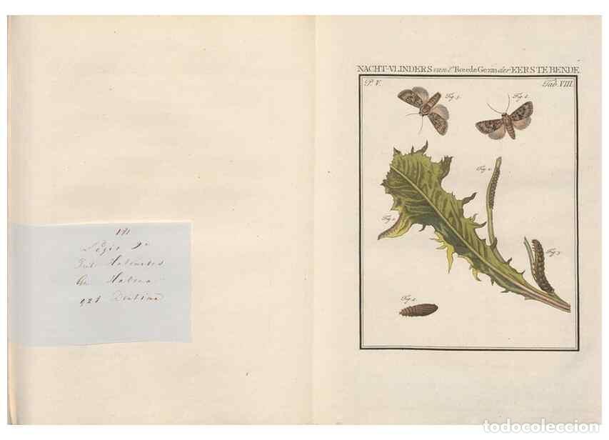 Coleccionismo de Revistas y Peri&oacute;dicos: Reproducci&oacute;n/Reproduction 49817005956: Beschouwing der wonderen Gods, in de minstgeachte schepzelen