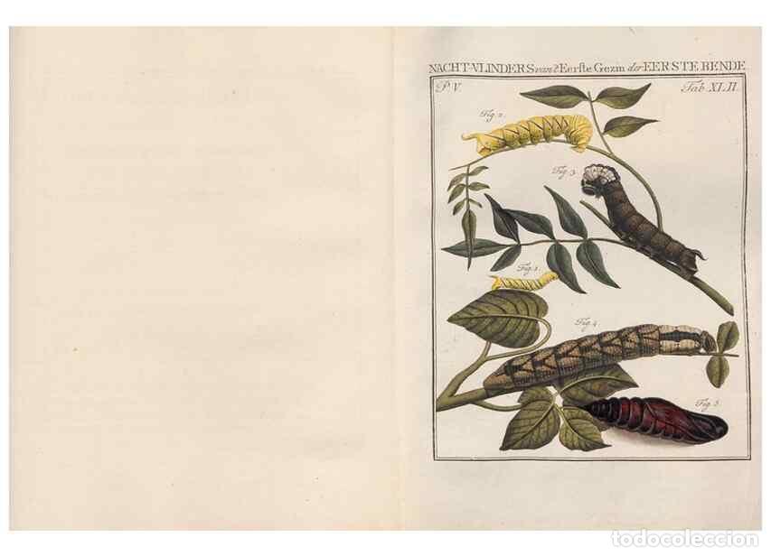 Collezionismo di Riviste e Giornali: Reproducci&oacute;n/Reproduction 49817320107: Beschouwing der wonderen Gods, in de minstgeachte schepzelen