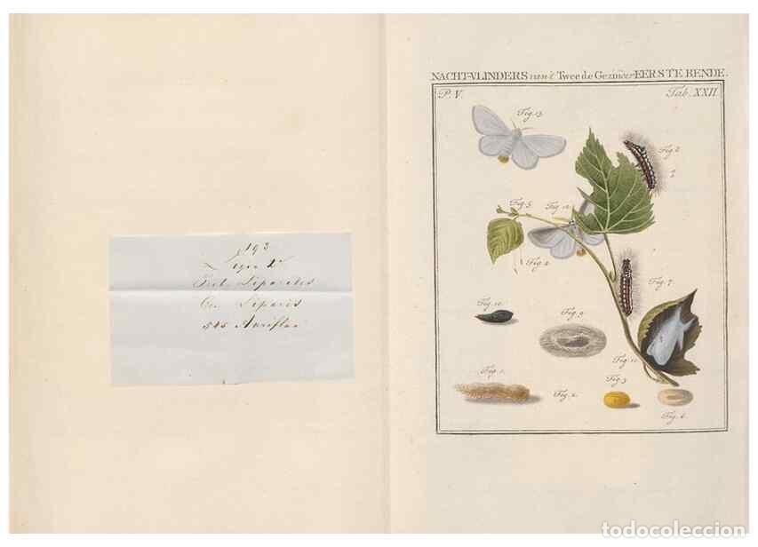 Collezionismo di Riviste e Giornali: Reproducci&oacute;n/Reproduction 49816475963: Beschouwing der wonderen Gods, in de minstgeachte schepzelen