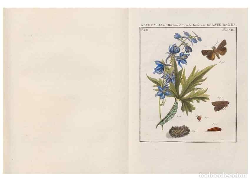 Collezionismo di Riviste e Giornali: Reproducci&oacute;n/Reproduction 49816538998: Beschouwing der wonderen Gods, in de minstgeachte schepzelen