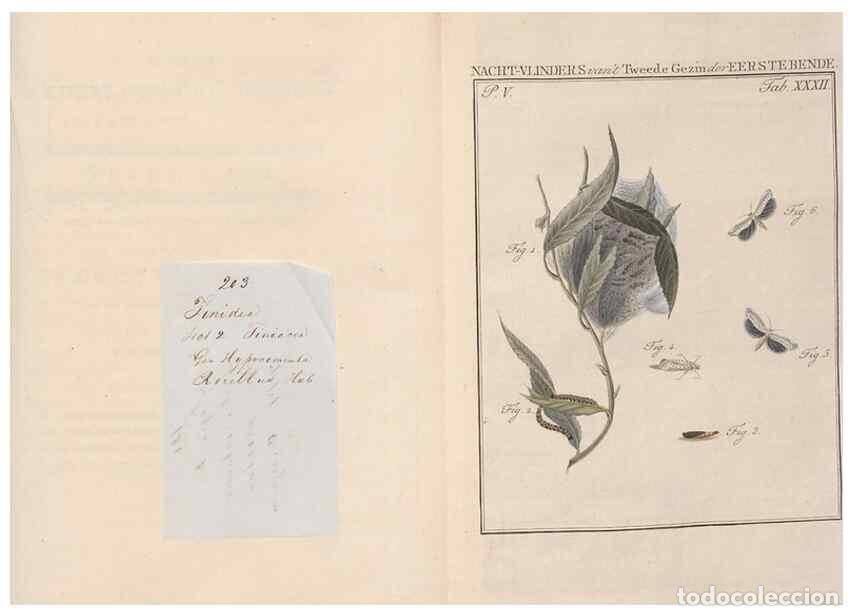 Collezionismo di Riviste e Giornali: Reproducci&oacute;n/Reproduction 49817318057: Beschouwing der wonderen Gods, in de minstgeachte schepzelen