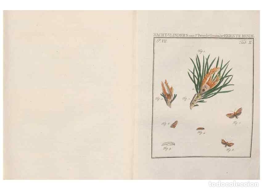 Collezionismo di Riviste e Giornali: Reproducci&oacute;n/Reproduction 49817378502: Beschouwing der wonderen Gods, in de minstgeachte schepzelen