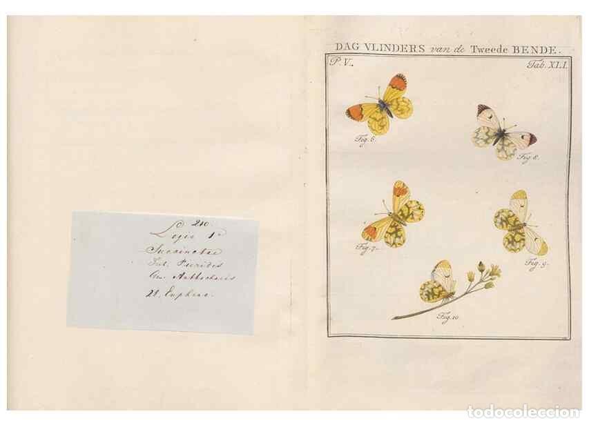 Collezionismo di Riviste e Giornali: Reproducci&oacute;n/Reproduction 49817012021: Beschouwing der wonderen Gods, in de minstgeachte schepzelen