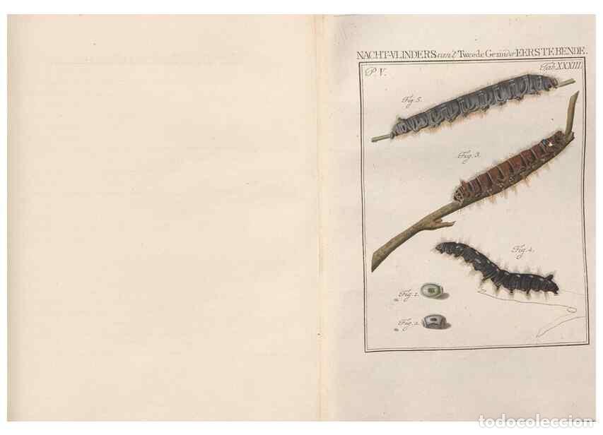 Collezionismo di Riviste e Giornali: Reproducci&oacute;n/Reproduction 49817318232: Beschouwing der wonderen Gods, in de minstgeachte schepzelen