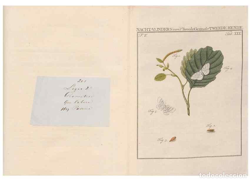 Sammeln von Zeitschriften und Zeitungen: Reproducci&oacute;n/Reproduction 49817317677: Beschouwing der wonderen Gods, in de minstgeachte schepzelen