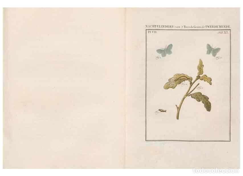 Sammeln von Zeitschriften und Zeitungen: Reproducci&oacute;n/Reproduction 49816538558: Beschouwing der wonderen Gods, in de minstgeachte schepzelen