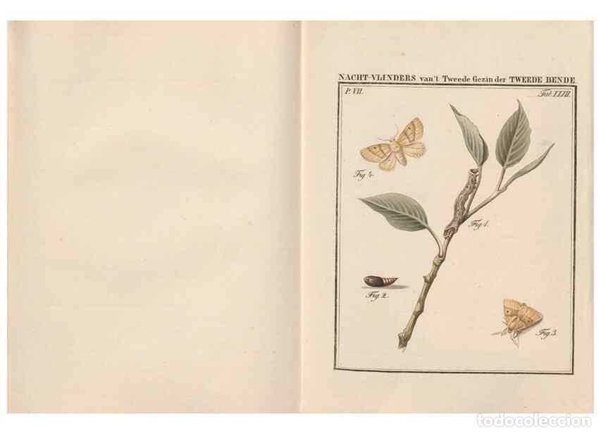 Sammeln von Zeitschriften und Zeitungen: Reproducci&oacute;n/Reproduction 49817384247: Beschouwing der wonderen Gods, in de minstgeachte schepzelen