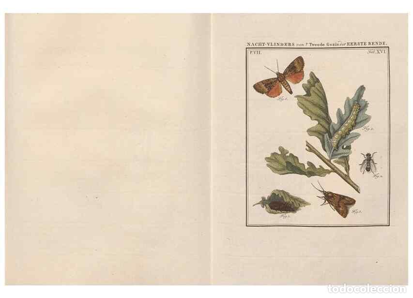 Sammeln von Zeitschriften und Zeitungen: Reproducci&oacute;n/Reproduction 49816539653: Beschouwing der wonderen Gods, in de minstgeachte schepzelen