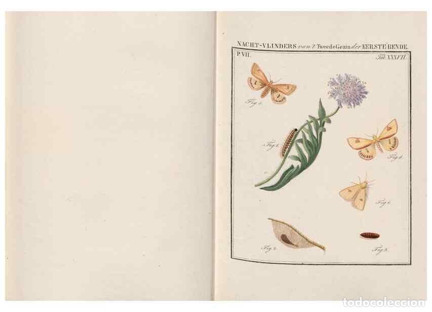 Sammeln von Zeitschriften und Zeitungen: Reproducci&oacute;n/Reproduction 49816543798: Beschouwing der wonderen Gods, in de minstgeachte schepzelen