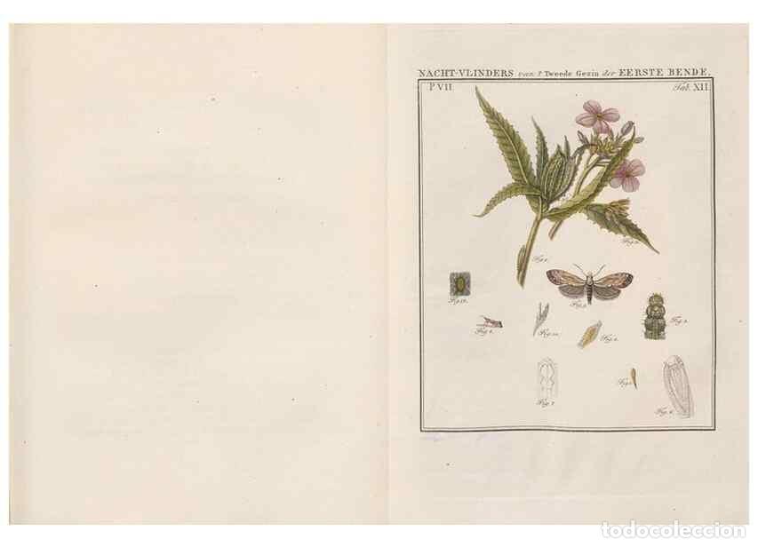 Sammeln von Zeitschriften und Zeitungen: Reproducci&oacute;n/Reproduction 49816538843: Beschouwing der wonderen Gods, in de minstgeachte schepzelen