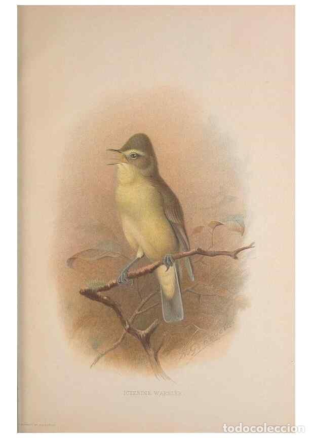 Colecionismo de Revistas e Jornais: Reproducci&oacute;n/Reproduction 49717060677: The British warblers :. London :R.H. Porter ...,1907-1914.. -