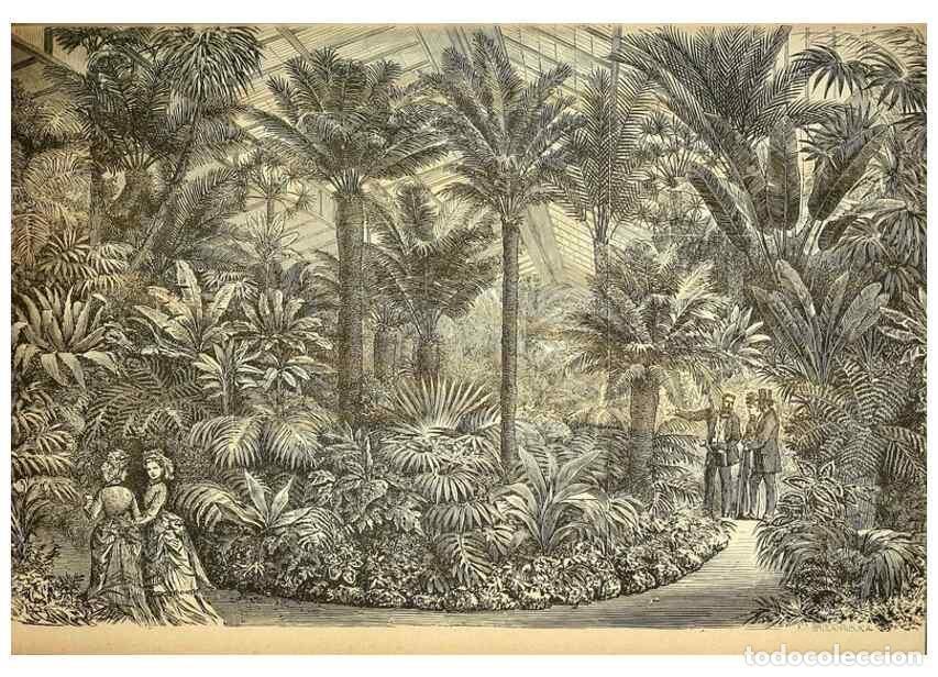 Coleccionismo de Revistas y Peri&oacute;dicos: Reproducci&oacute;n/Reproduction 49717082567: Gartenflora.. Erlangen :F. Enke,1852-1940.. - Deutsche Garten