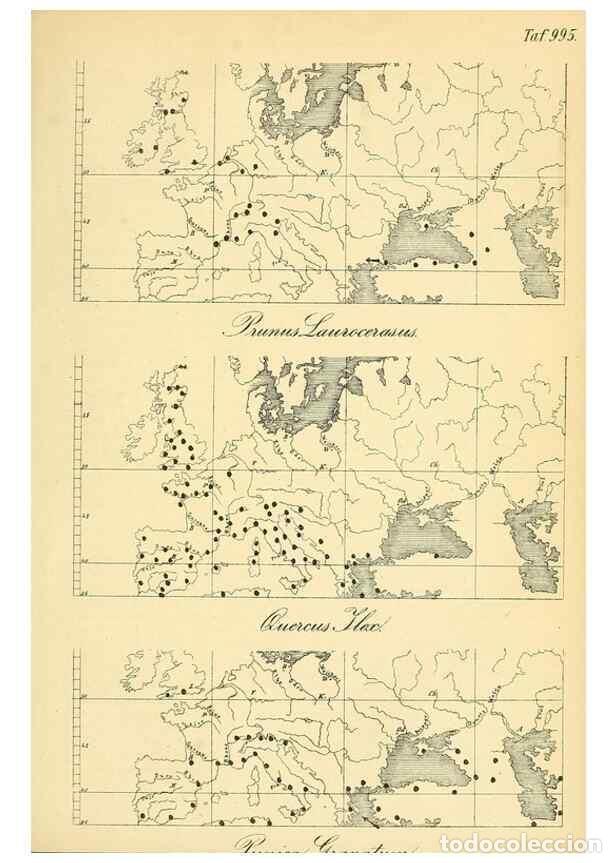 Coleccionismo de Revistas y Peri&oacute;dicos: Reproducci&oacute;n/Reproduction 49716615951: Gartenflora.. Erlangen :F. Enke,1852-1940.. - Deutsche Garten