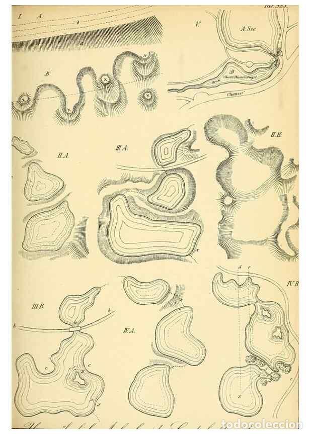 Coleccionismo de Revistas y Peri&oacute;dicos: Reproducci&oacute;n/Reproduction 49716613041: Gartenflora.. Erlangen :F. Enke,1852-1940.. - Deutsche Garten