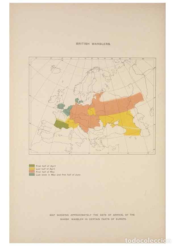 Coleccionismo de Revistas y Peri&oacute;dicos: Reproducci&oacute;n/Reproduction 49716808266: The British warblers :. London :R.H. Porter ...,1907-1914.. -
