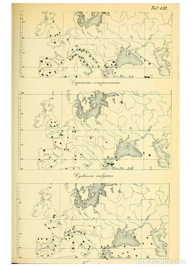 Collection Magazines and Newspapers: Reproducci&oacute;n/Reproduction 49705592426: Gartenflora.. Erlangen :F. Enke,1852-1940.. - Deutsche Garten
