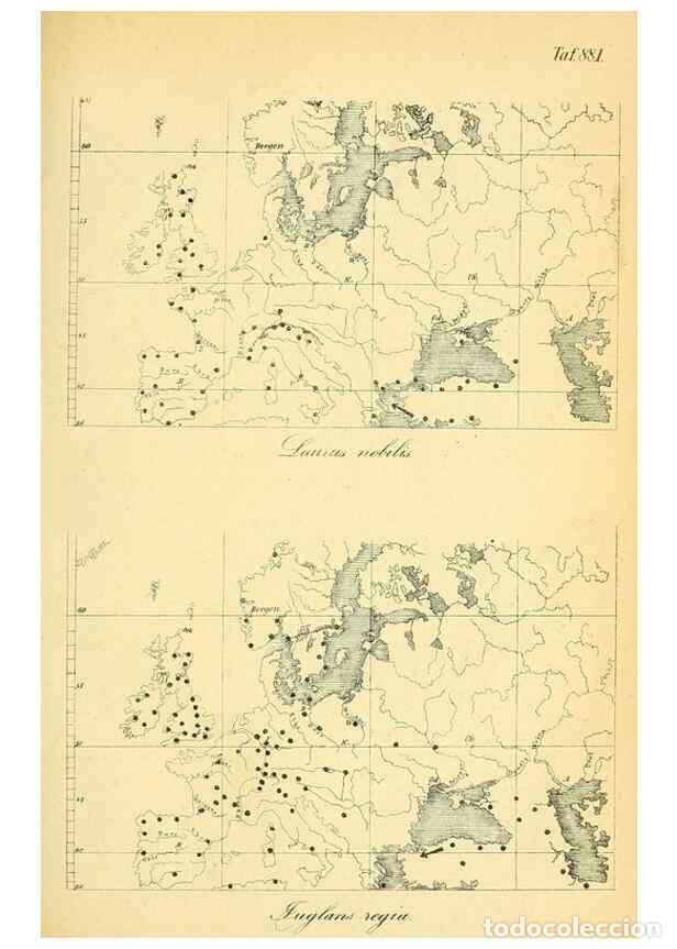 Collection Magazines and Newspapers: Reproducci&oacute;n/Reproduction 49705594571: Gartenflora.. Erlangen :F. Enke,1852-1940.. - Deutsche Garten