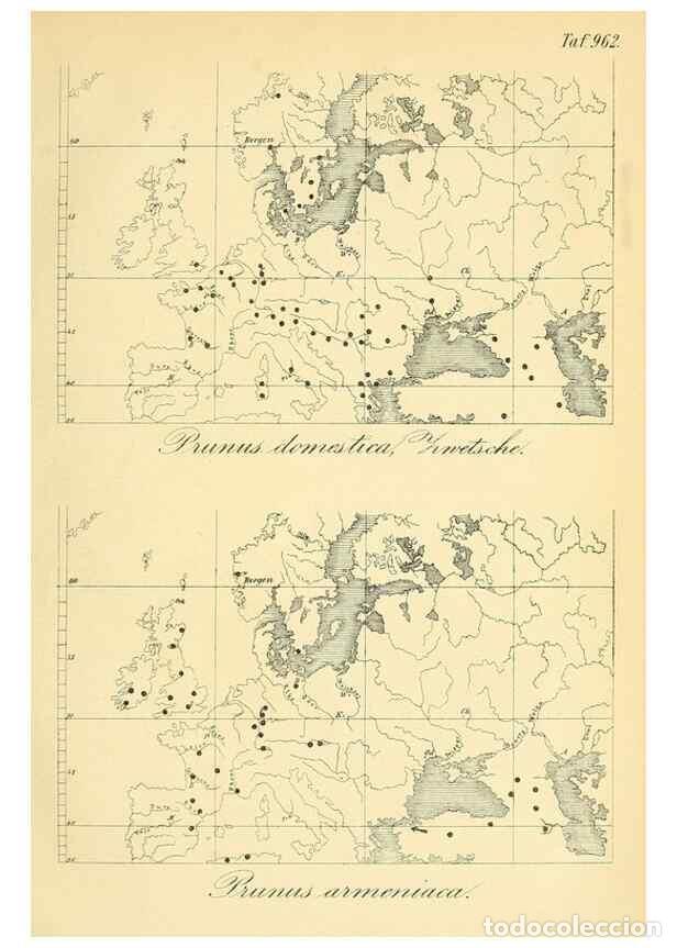 Collection Magazines and Newspapers: Reproducci&oacute;n/Reproduction 49716066438: Gartenflora.. Erlangen :F. Enke,1852-1940.. - Deutsche Garten