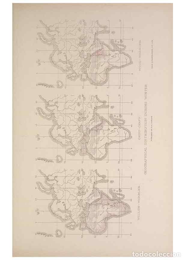 Collection Magazines and Newspapers: Reproducci&oacute;n/Reproduction 49717176732: The British warblers :. London :R.H. Porter ...,1907-1914.. -