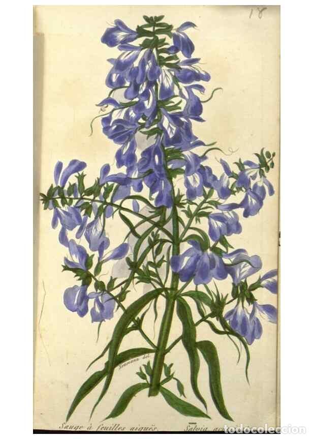 Collezionismo di Riviste e Giornali: Reproducci&oacute;n/Reproduction 49647877617: Revue horticole.. Paris :Librairie agricole de la maison rust