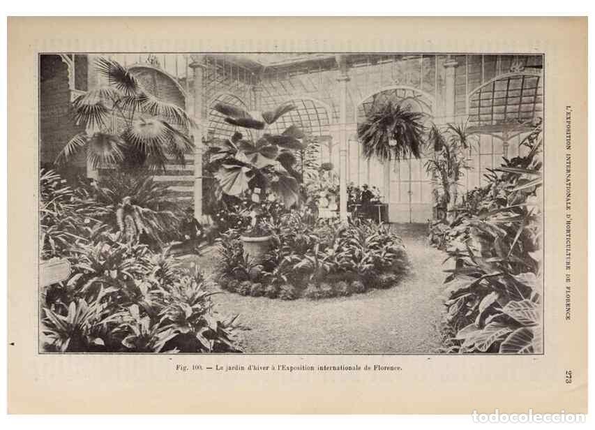 Collezionismo di Riviste e Giornali: Reproducci&oacute;n/Reproduction 49643689521: Revue horticole.. Paris :Librairie agricole de la maison rust