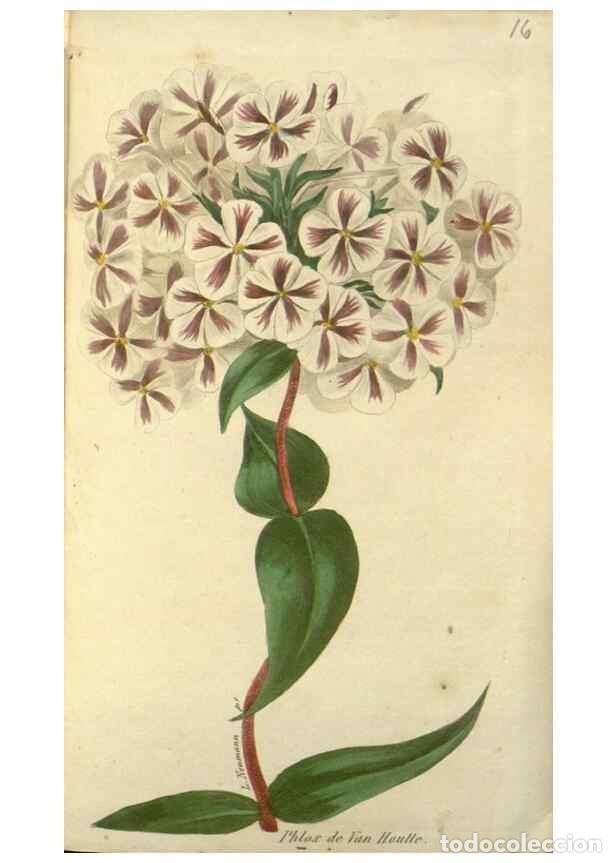 Collection Magazines and Newspapers: Reproducci&oacute;n/Reproduction 49647593726: Revue horticole.. Paris :Librairie agricole de la maison rust