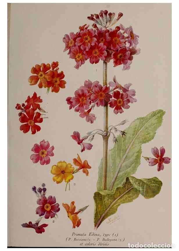 Collection Magazines and Newspapers: Reproducci&oacute;n/Reproduction 49643506463: Revue horticole.. Paris :Librairie agricole de la maison rust