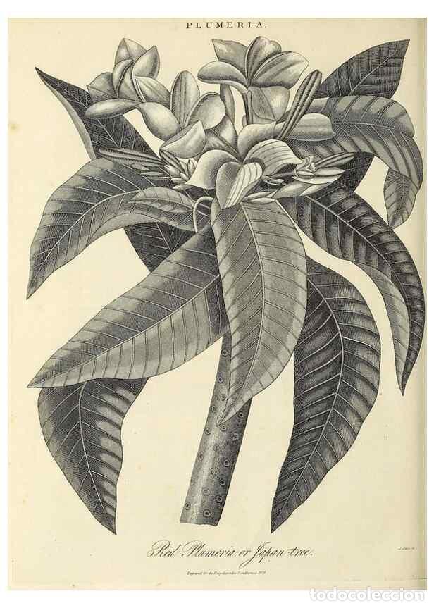 Collezionismo di Riviste e Giornali: Reproducci&oacute;n/Reproduction 49756711938: Encyclopaedia londinensis, or, Universal dictionary of arts,