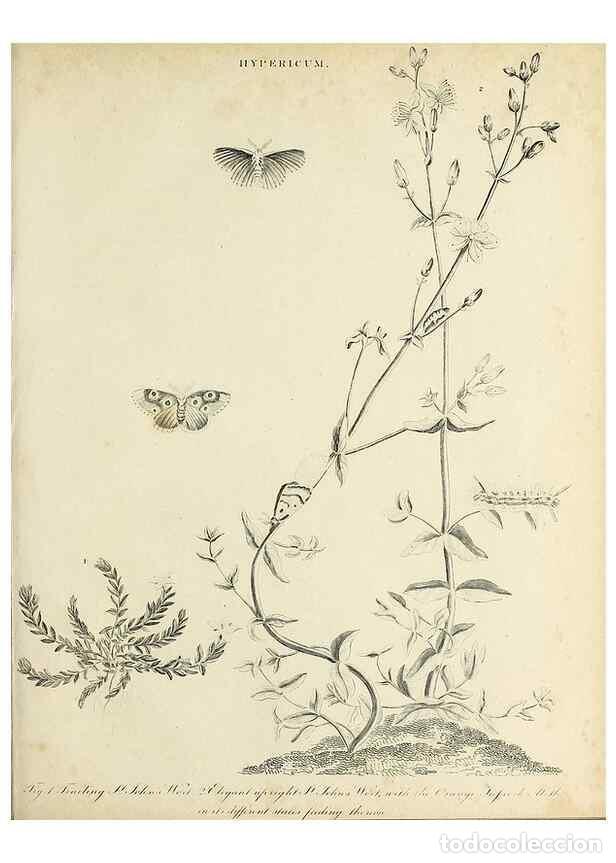 Coleccionismo de Revistas y Peri&oacute;dicos: Reproducci&oacute;n/Reproduction 49754529211: Encyclopaedia londinensis, or, Universal dictionary of arts,