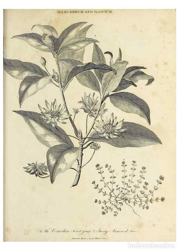 Coleccionismo de Revistas y Peri&oacute;dicos: Reproducci&oacute;n/Reproduction 49754870717: Encyclopaedia londinensis, or, Universal dictionary of arts,