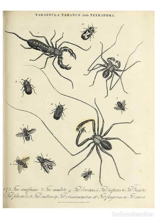 Colecionismo de Revistas e Jornais: Reproducci&oacute;n/Reproduction 49757908297: Encyclopaedia londinensis, or, Universal dictionary of arts,