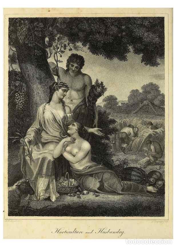 Collectionnisme de Revues et Journaux: Reproducci&oacute;n/Reproduction 49754855842: Encyclopaedia londinensis, or, Universal dictionary of arts,