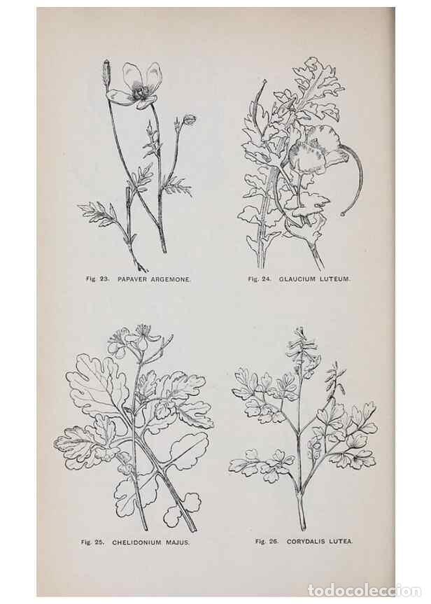Collectionnisme de Revues et Journaux: Reproducci&oacute;n/Reproduction 49743250541: The flora of the Liverpool district /. Liverpool :D. Marples