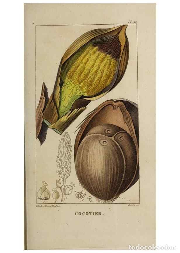 Collectionnisme de Revues et Journaux: Reproducci&oacute;n/Reproduction 49742624818: Flore pittoresque et m&eacute;dicale des Antilles, ou, Histoire natu