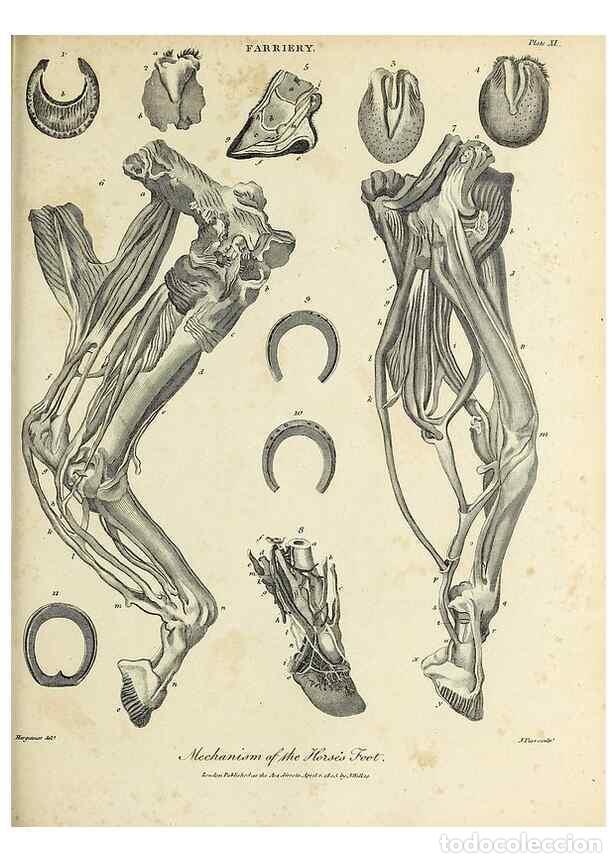 Collezionismo di Riviste e Giornali: Reproducci&oacute;n/Reproduction 49754345611: Encyclopaedia londinensis, or, Universal dictionary of arts,