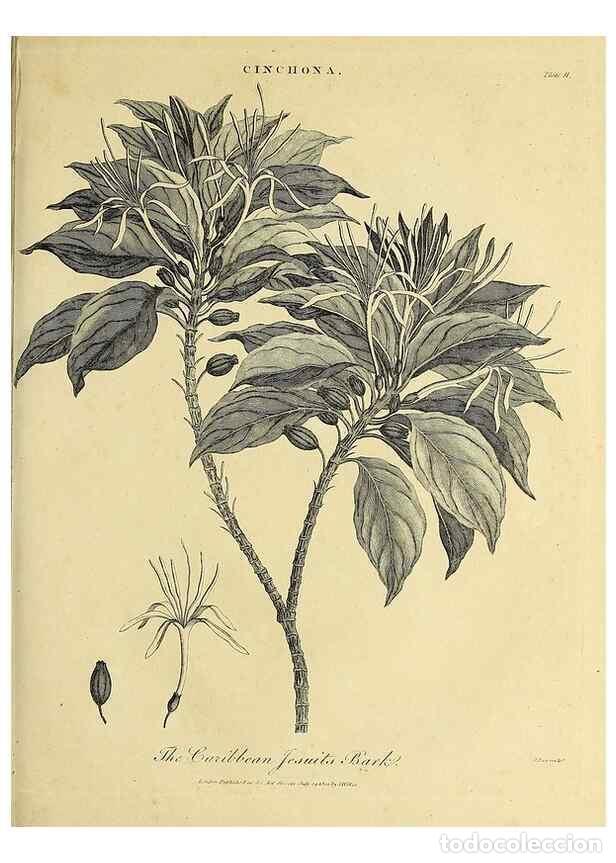 Collezionismo di Riviste e Giornali: Reproducci&oacute;n/Reproduction 49753598953: Encyclopaedia londinensis, or, Universal dictionary of arts,