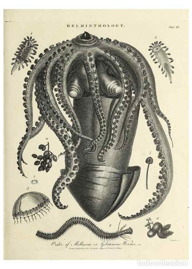 Colecionismo de Revistas e Jornais: Reproducci&oacute;n/Reproduction 49754768182: Encyclopaedia londinensis, or, Universal dictionary of arts,