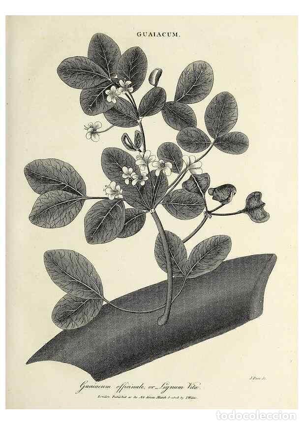 Colecionismo de Revistas e Jornais: Reproducci&oacute;n/Reproduction 49754764672: Encyclopaedia londinensis, or, Universal dictionary of arts,