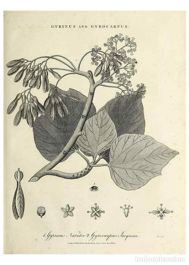 Colecionismo de Revistas e Jornais: Reproducci&oacute;n/Reproduction 49754427976: Encyclopaedia londinensis, or, Universal dictionary of arts,